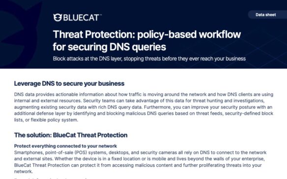 Screen capture of BlueCat Threat Protection data sheet
