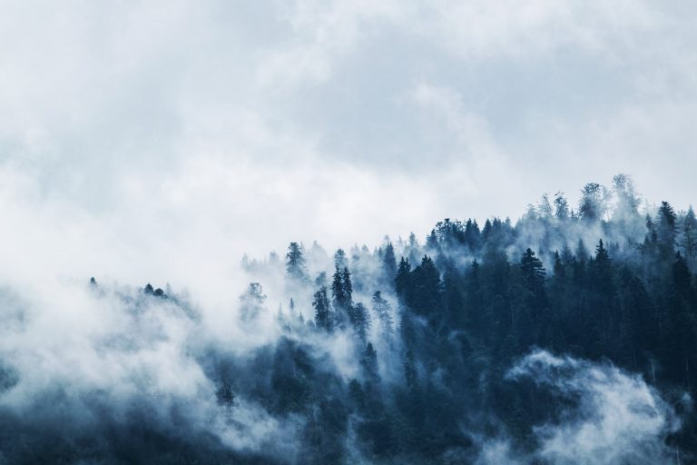 Gartner Catalyst 2019: Forest Rangers, Cost-Driven Cloud, & Other ...