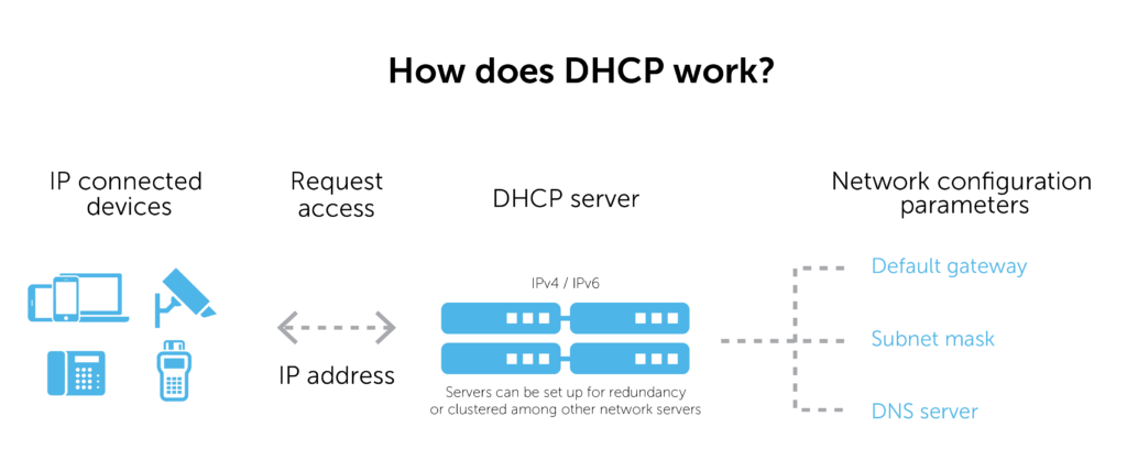 ip address assignment dhcp