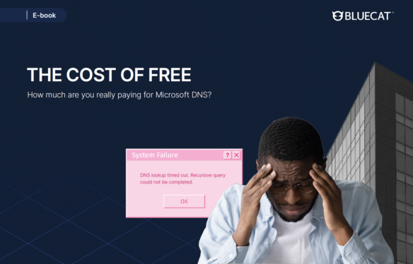 eBook The Cost of Free Microsoft DNS cover page