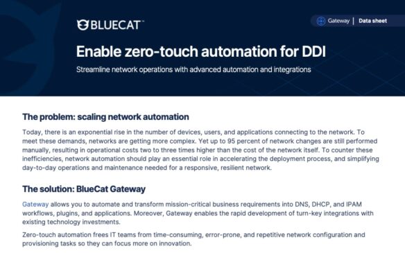 Screen capture of BlueCat Gateway data sheet