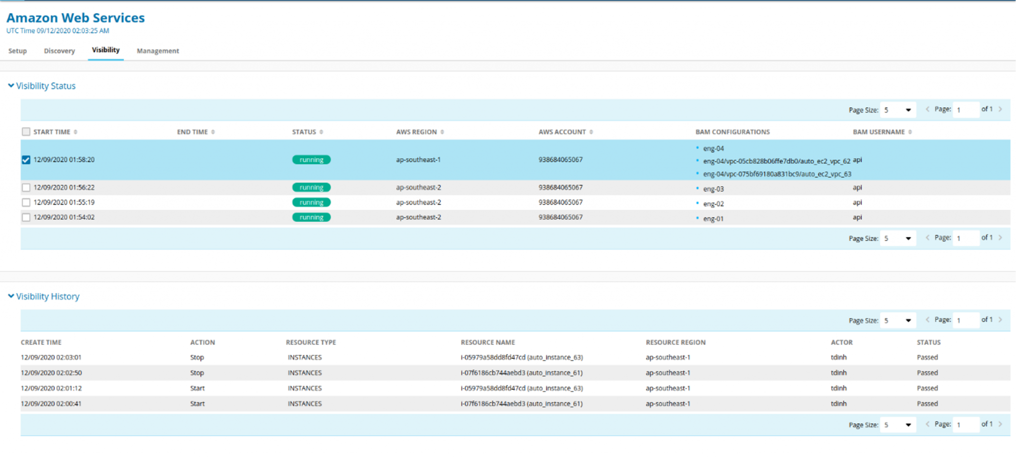 Screenshot of BlueCat Discovery and Visibility in AWS