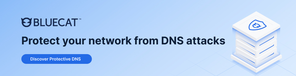 Website banner that reads, "Protect you network from DNS attacks," with a learn more button that takes users to BlueCat