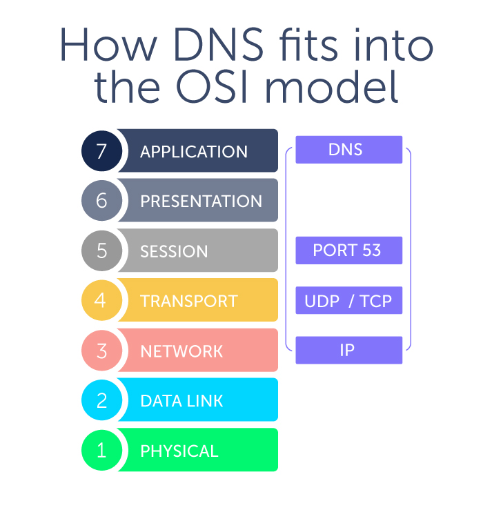 There is no DNS OSI layer per se; diagram showing how DNS fits into the OSI model as an application layer protocol at Layer 7