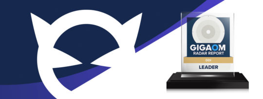 GigaOm Radar Report for DDI