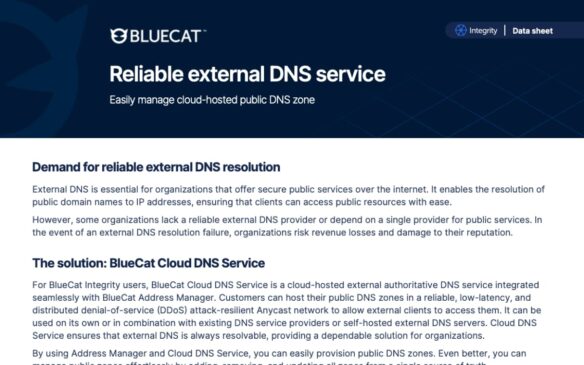 Screen capture of BlueCat Cloud DNS Service data sheet