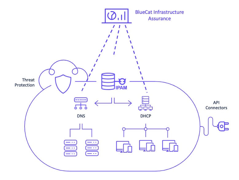 A diagram of how BlueCat Infrastructure Assurance provides deep visibility into BlueCat Integrity enterprise environments, including its key BlueCat Address Manager and BlueCat DNS/DHCP Server (BDDS) components