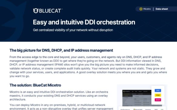 Screen capture of BlueCat Micetro data sheet, Easy and intuitive DDI Orchestration