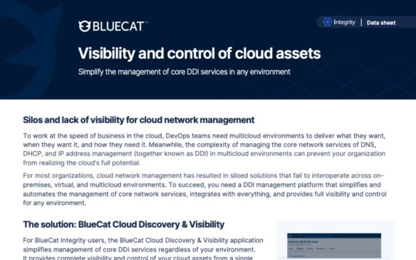 Screen capture of BlueCat Cloud Discovery and Visibility data sheet