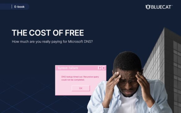 Screen capture of BlueCat The cost of free e-book