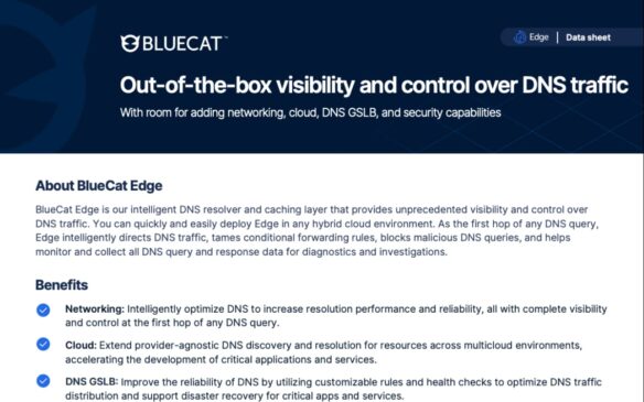 Screencapture of BlueCat Edge offering data sheet