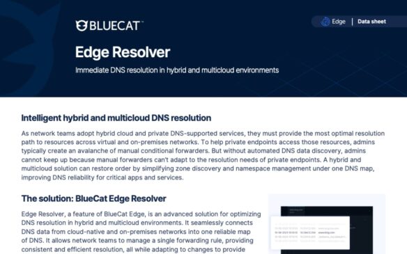 Screen capture of BlueCat Edge Resolver data sheet