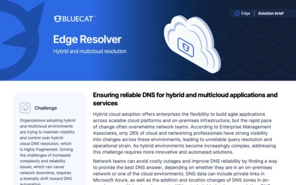 Screen capture of BlueCat Edge Resolver solution brief