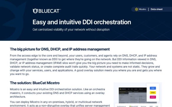 BlueCat Easy and intuitive DDI orchestration datasheet header with introductory text and small product screenshot