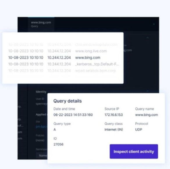 BlueCat interface displaying DNS query timestamps, IP addresses, query details, and inspect client activity button