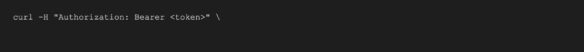 Terminal snippet showing curl command with HTTP Authorization Bearer token header