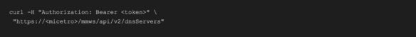 Terminal curl command using bearer token to query BlueCat MMv3 dnsServers API endpoint