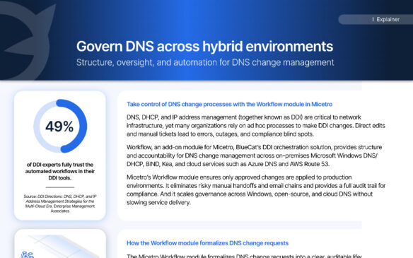 BlueCat Microtool workflow module overview for DNS change governance across hybrid environments with DDI tools statistic