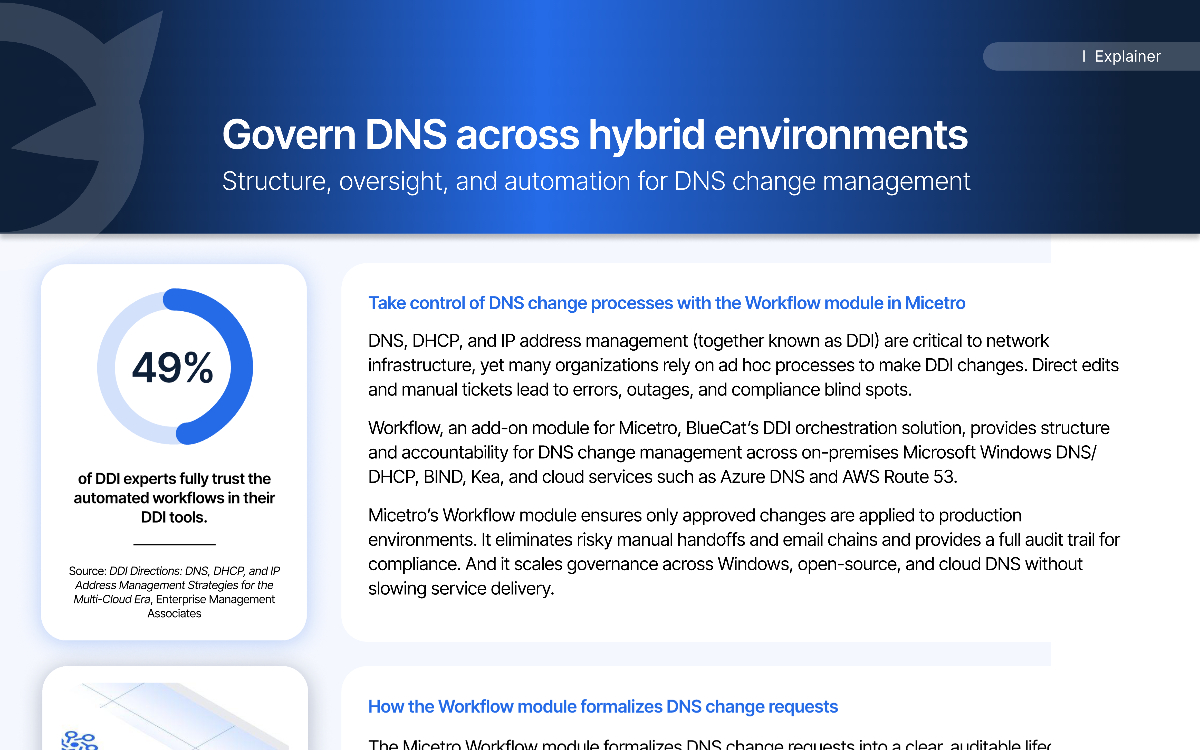 BlueCat Microtool workflow module overview for DNS change governance across hybrid environments with DDI tools statistic