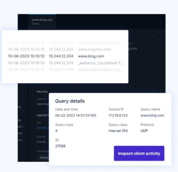 BlueCat interface showing DNS query logs and detailed query information with inspect client activity button