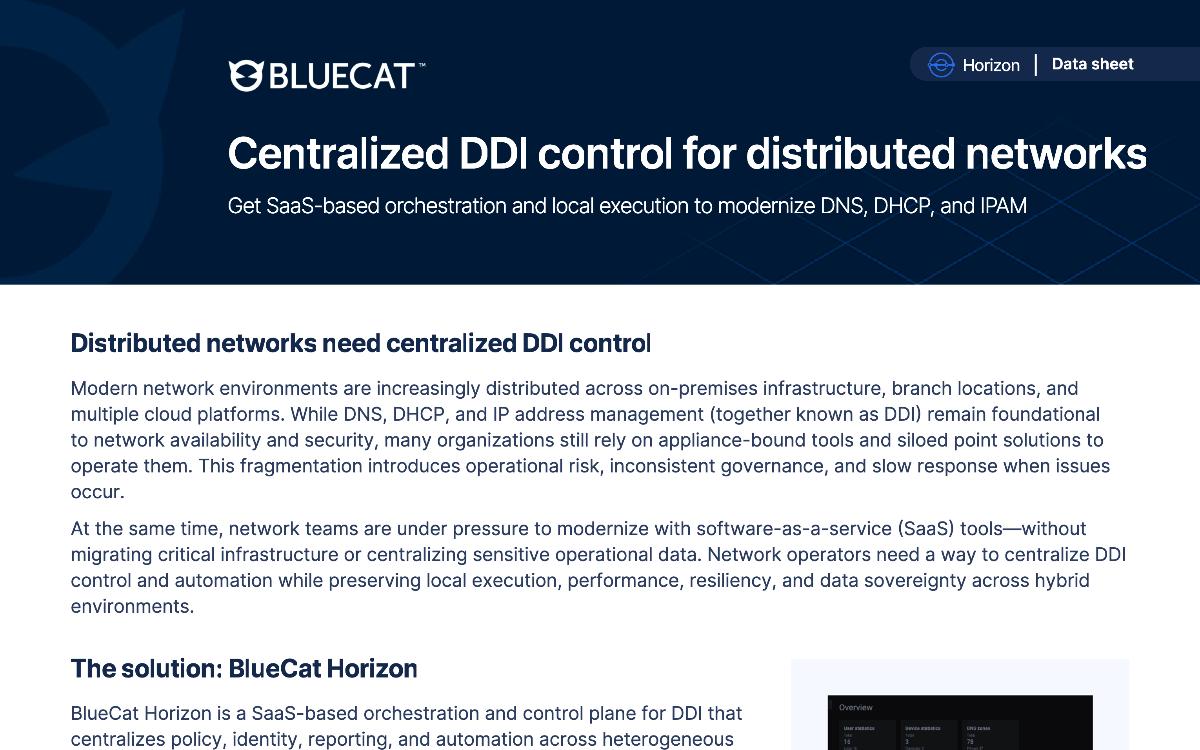 BlueCat Centralized DDI control datasheet header with branding, headline, and introductory description text